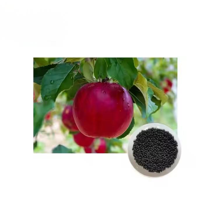20% Chất thải hữu cơ dạng viên nguyên liệu cho đất nông nghiệp & cây trồng NPK12-0-1 Acid Humic Bột